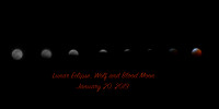 Jan 20, 2019 Eclipse